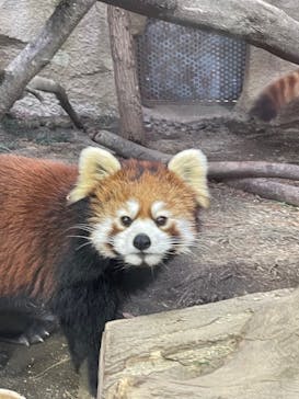 那須どうぶつ王国に投稿された画像（2021/12/26）