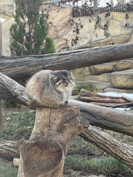 那須どうぶつ王国に投稿された画像（2021/12/26）