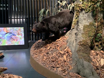 国立科学博物館に投稿された画像（2021/12/26）