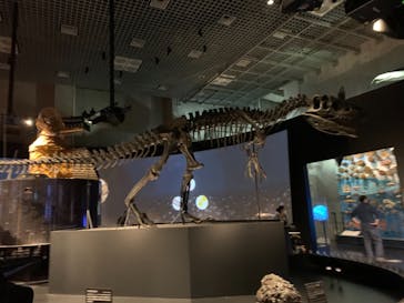 国立科学博物館に投稿された画像（2021/12/26）