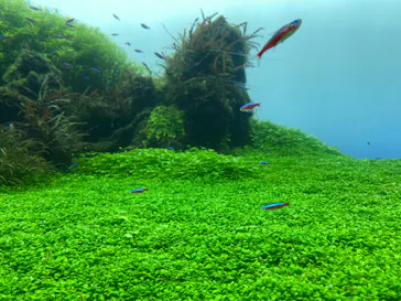 すみだ水族館に投稿された画像（2021/12/26）