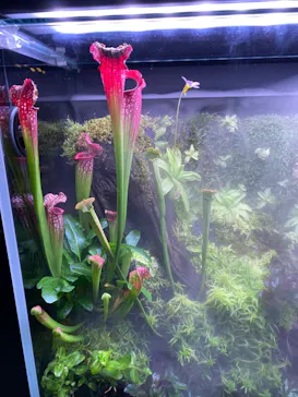 すみだ水族館に投稿された画像（2021/12/26）