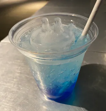 すみだ水族館に投稿された画像（2021/12/26）