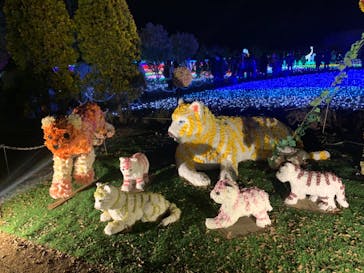 東武動物公園に投稿された画像（2021/12/26）