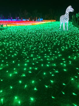 東武動物公園に投稿された画像（2021/12/26）