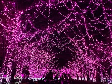 東武動物公園に投稿された画像（2021/12/26）