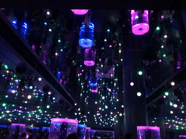 マクセル アクアパーク品川に投稿された画像（2021/12/26）