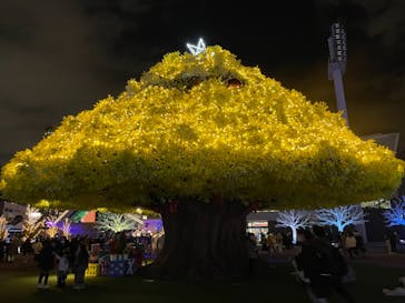 東京メガイルミに投稿された画像（2021/12/26）