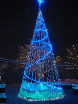 とっとり花回廊に投稿された画像（2021/12/26）