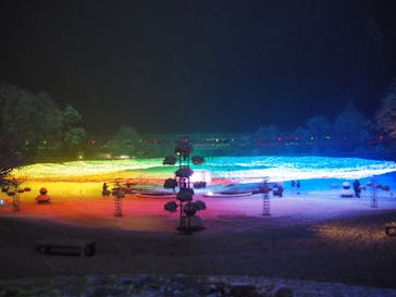 とっとり花回廊に投稿された画像（2021/12/26）