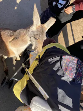 神戸どうぶつ王国に投稿された画像（2021/12/26）