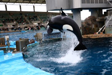 名古屋港水族館に投稿された画像（2021/12/26）