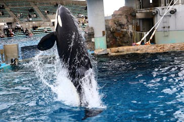 名古屋港水族館に投稿された画像（2021/12/26）