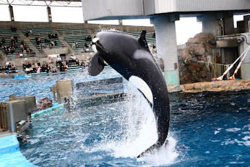 名古屋港水族館に投稿された画像（2021/12/26）