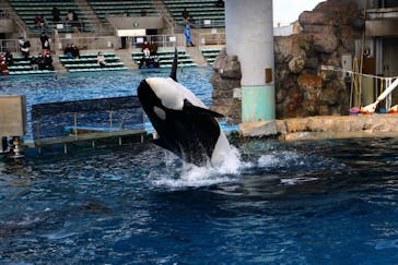 名古屋港水族館に投稿された画像（2021/12/26）