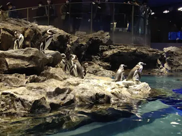 すみだ水族館に投稿された画像（2021/12/26）