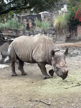 天王寺動物園に投稿された画像（2021/12/26）