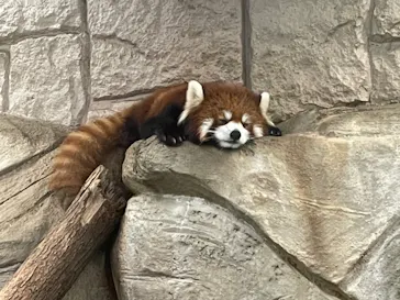 天王寺動物園に投稿された画像（2021/12/26）