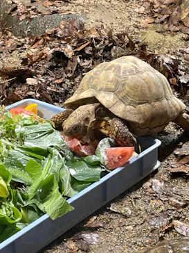 天王寺動物園に投稿された画像（2021/12/26）