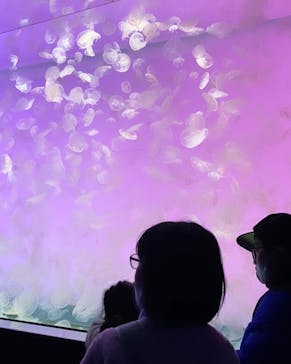 アクアワールド茨城県大洗水族館に投稿された画像（2021/12/26）