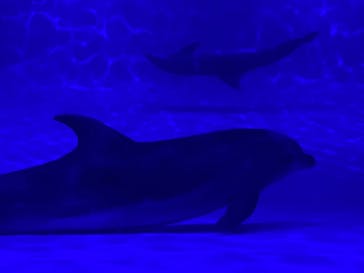 アクアワールド茨城県大洗水族館に投稿された画像（2021/12/26）