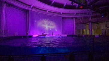 アクアワールド茨城県大洗水族館に投稿された画像（2021/12/26）