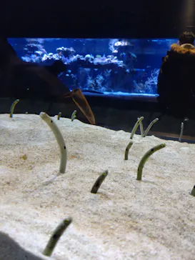 すみだ水族館に投稿された画像（2021/12/26）