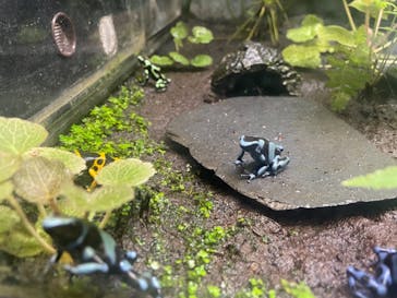 サンシャイン水族館に投稿された画像（2021/12/26）