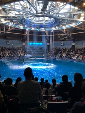 マクセル アクアパーク品川に投稿された画像（2021/12/26）