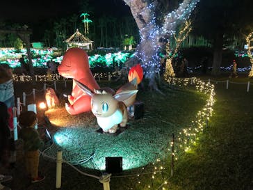 美らヤシパークオキナワ・東南植物楽園に投稿された画像（2021/12/26）