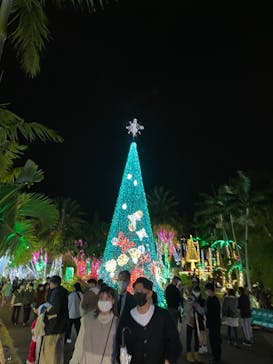 美らヤシパークオキナワ・東南植物楽園に投稿された画像（2021/12/26）