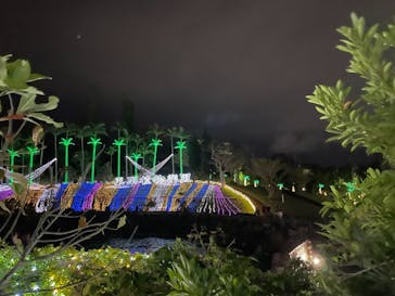 美らヤシパークオキナワ・東南植物楽園に投稿された画像（2021/12/26）