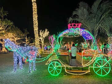 美らヤシパークオキナワ・東南植物楽園に投稿された画像（2021/12/26）