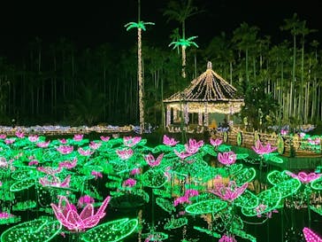 美らヤシパークオキナワ・東南植物楽園に投稿された画像（2021/12/26）