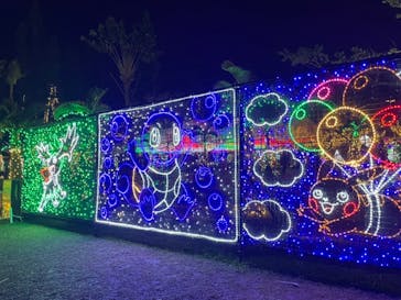 美らヤシパークオキナワ・東南植物楽園に投稿された画像（2021/12/26）