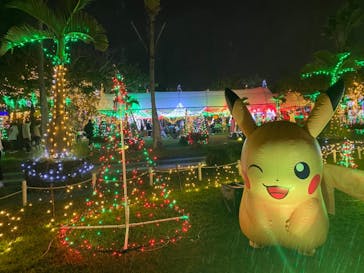 美らヤシパークオキナワ・東南植物楽園に投稿された画像（2021/12/26）