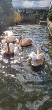 神戸どうぶつ王国に投稿された画像（2021/12/26）