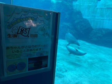 名古屋港水族館に投稿された画像（2021/12/26）