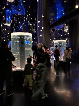 マクセル アクアパーク品川に投稿された画像（2021/12/26）