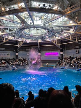 マクセル アクアパーク品川に投稿された画像（2021/12/26）