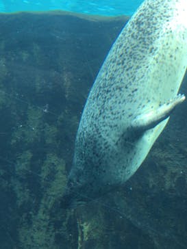 旭川市旭山動物園に投稿された画像（2021/12/26）