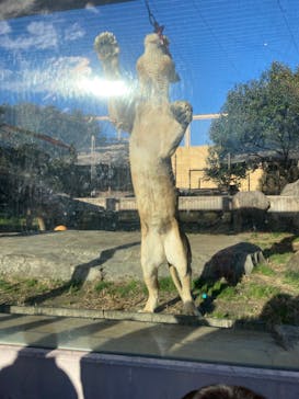 東武動物公園に投稿された画像（2021/12/26）