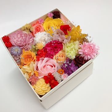 ずこうしつ〜sugamo〜に投稿された画像（2021/12/26）