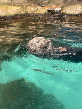 マリンワールド海の中道に投稿された画像（2021/12/26）