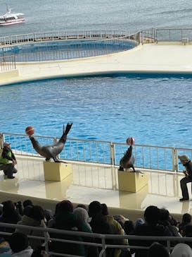 マリンワールド海の中道に投稿された画像（2021/12/26）
