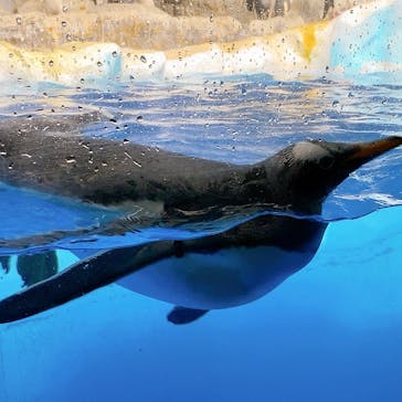 名古屋港水族館に投稿された画像（2021/12/26）