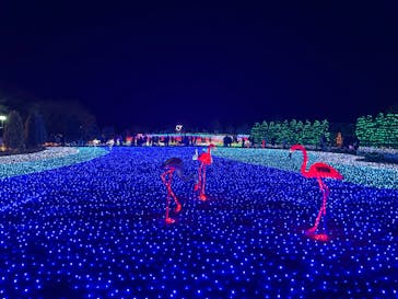 東武動物公園に投稿された画像（2021/12/26）