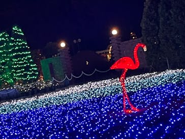 東武動物公園に投稿された画像（2021/12/26）