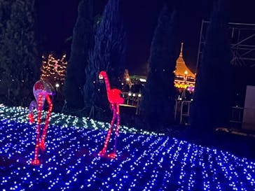 東武動物公園に投稿された画像（2021/12/26）