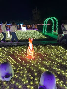 東武動物公園に投稿された画像（2021/12/26）